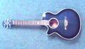 Vester VDS71 Acoustic Electric Guitar