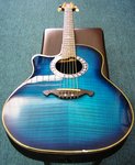 Vester Roundback Acoustic Electric Guitar HS457