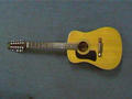 Washburn D12