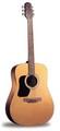 Walden Acoustic Guitar