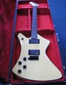 Washburn Electric Guitar