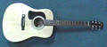Washburn D10 Acoustic Guitar