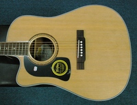 WD10CEu