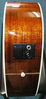 WD10CEu