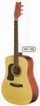 Washburn WD10S Acoustic Guitar