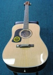 Washburn WD10S Acoustic Guitar