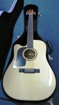 Washburn D10SCE Acoustic Electric Guitar