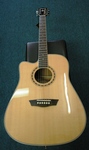 Washburn D10SCE Acoustic Electric Guitar