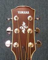 YAPX700