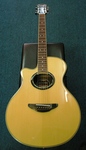 Yamaha APX700