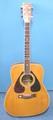 Yamaha Acoustic (Electric) Guitar