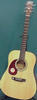 Cort AJ860 Acoustic Guitar