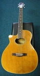 Martinez Acoustic Electric Guitar