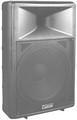Carvin PM15 Moulded 2-way 15