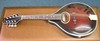 Mandolins