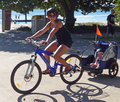 Tag-a-long Trailer and Bike Hire only $55.00 1/2 Day (<4 Hrs)