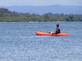 Guided Kayaking 3 Hour Eco Adventure Tour and Picnic only $90 per person all incl.