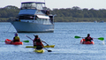 Guided Kayaking 3 Hour Family Eco Adventure Tour and Picnic only $300 all incl. 2 Adults 2 Children (suitable for children aged 9 and over). Larger Families/Younger Children may be catered for POA.