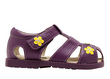 Hillary - Purple