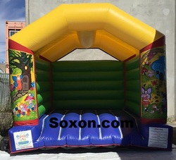 Teen and Adult Castles - Fairies