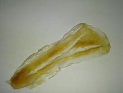 Latex Gash Narley