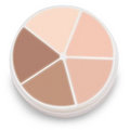 ProColoRing� Concealer 28gm