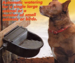 Animal Drinking Bowl