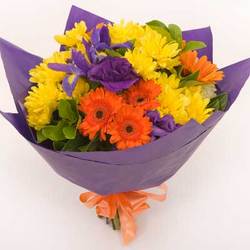 Spring Surprise
