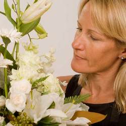 Florist Choice Cut Flowers