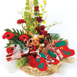 Christmas Cheer