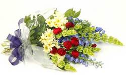 Sympathy Sheaf