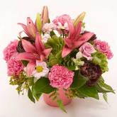 Perfect Posy