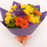 Spring Surprise