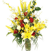 Seasonal Delight