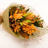 For Him