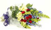 Sympathy Sheaf