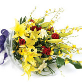 Sympathy Sheaf