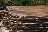 Drill Pipe at Snapper