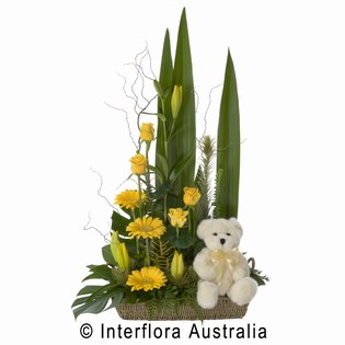 Teddy's Gift