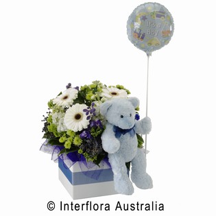 It's A Boy!