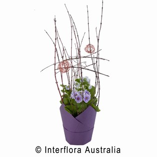 Petite Blooms