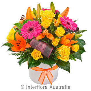Large Modern Sympathy Spray