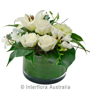 Sympathy Bowl Arrangement