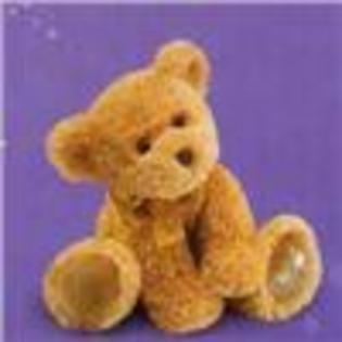 Shining Star Brown Teddy