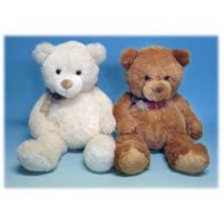 Medium Teddy