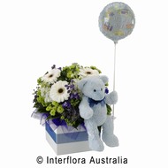 It's A Boy!