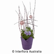 Petite Blooms
