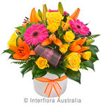 Large Modern Sympathy Spray