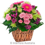 Summer Sympathy Spray