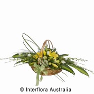 Sympathy Basket